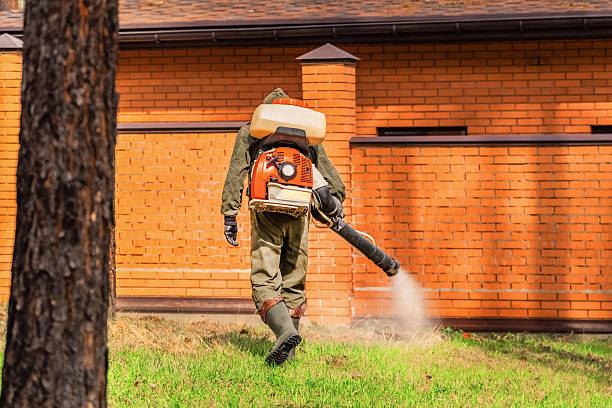 Trusted Termite Control service in Kings Park, VA - Nex Pest Control